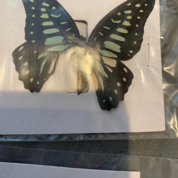 9 natural unmounted taxidermy butterflies - Picture 4 of 12